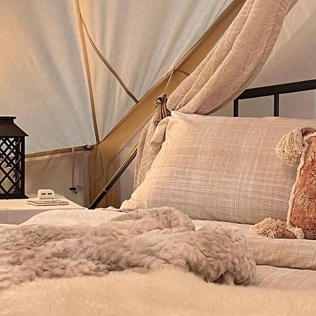 Shenandoah Valley Glamping - Amazing Views - Farm Edinburg 外观 照片