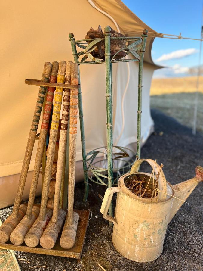 Shenandoah Valley Glamping - Amazing Views - Farm Edinburg 外观 照片