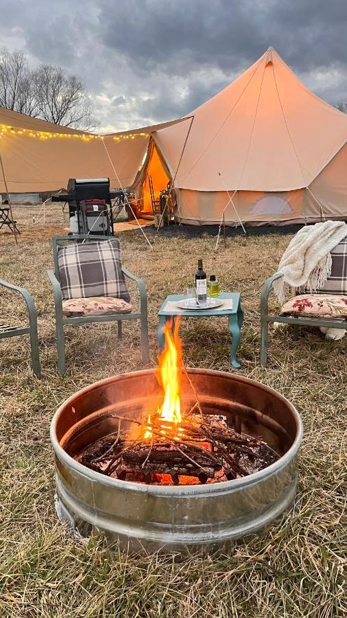 Shenandoah Valley Glamping - Amazing Views - Farm Edinburg 外观 照片