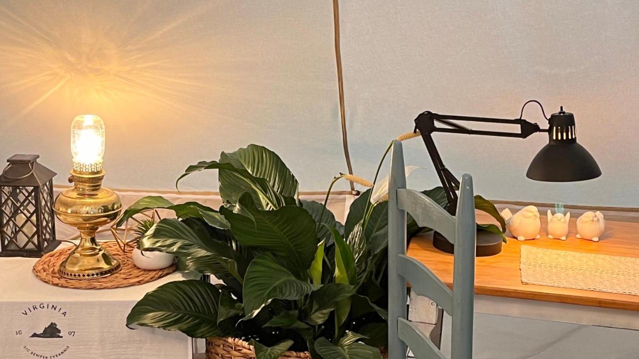 Shenandoah Valley Glamping - Amazing Views - Farm Edinburg 外观 照片