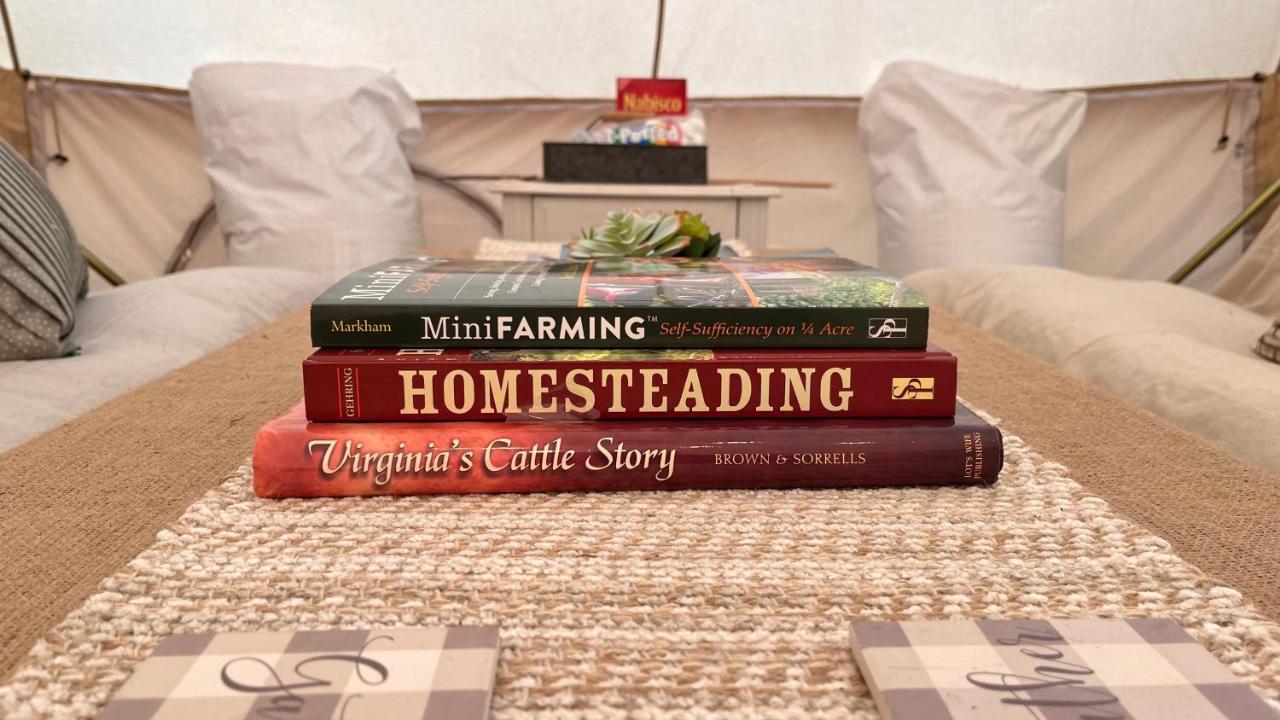 Shenandoah Valley Glamping - Amazing Views - Farm Edinburg 外观 照片