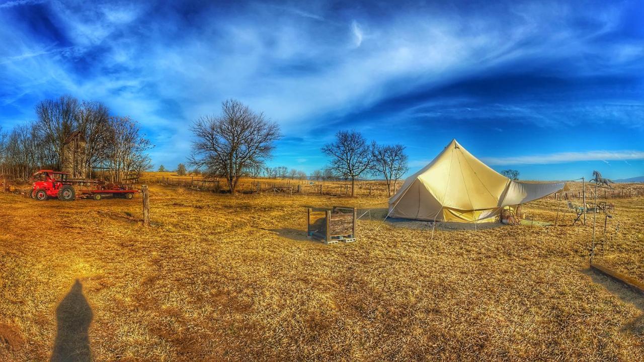 Shenandoah Valley Glamping - Amazing Views - Farm Edinburg 外观 照片