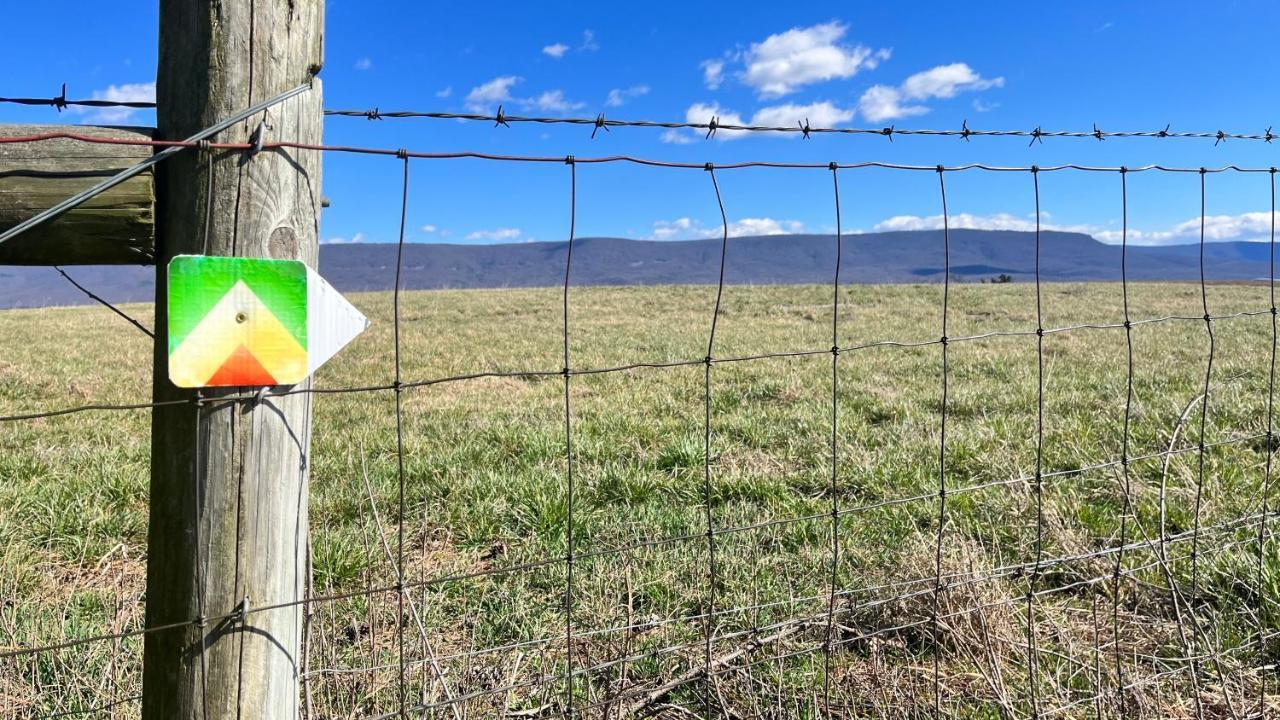 Shenandoah Valley Glamping - Amazing Views - Farm Edinburg 外观 照片