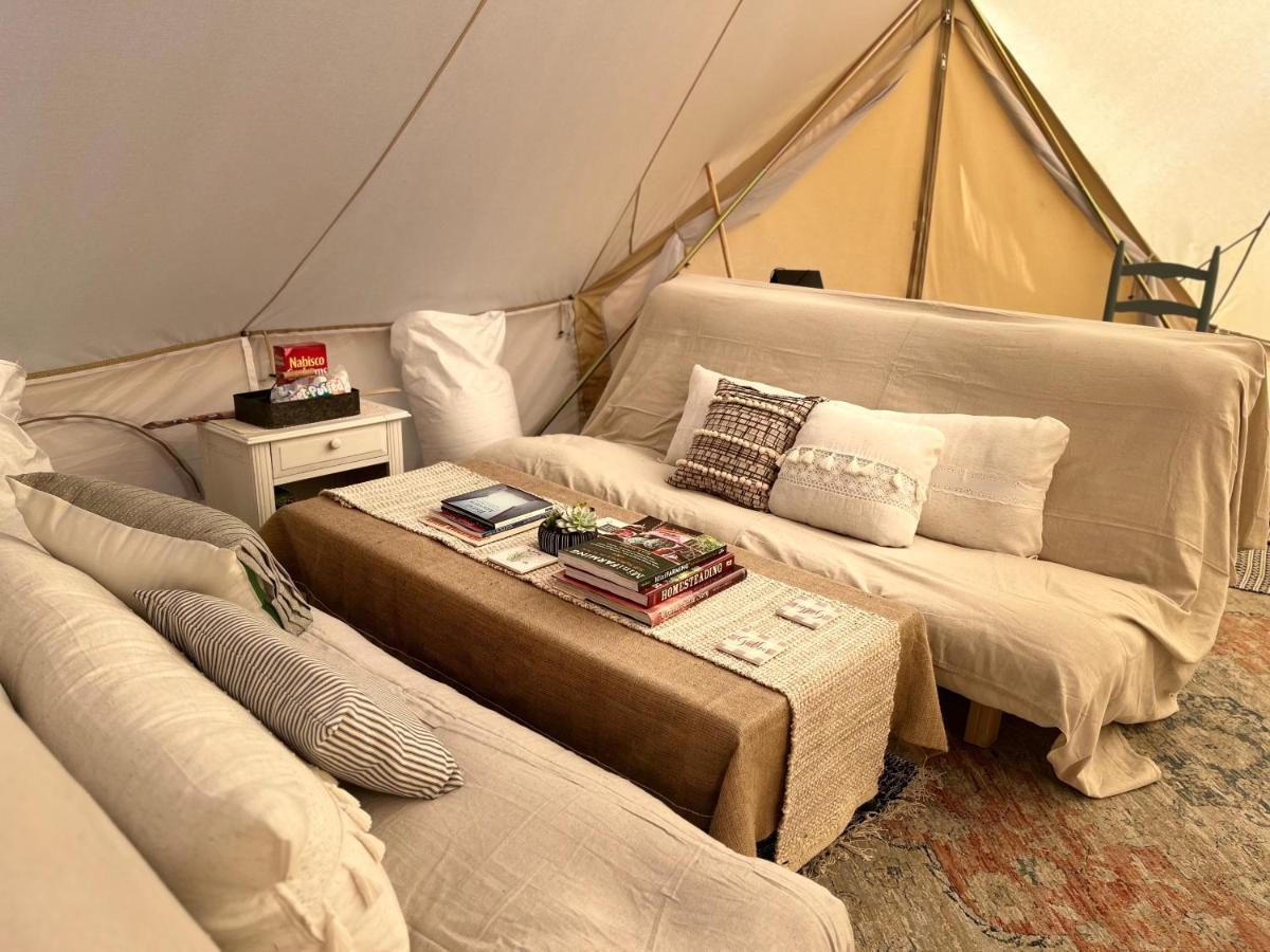 Shenandoah Valley Glamping - Amazing Views - Farm Edinburg 外观 照片