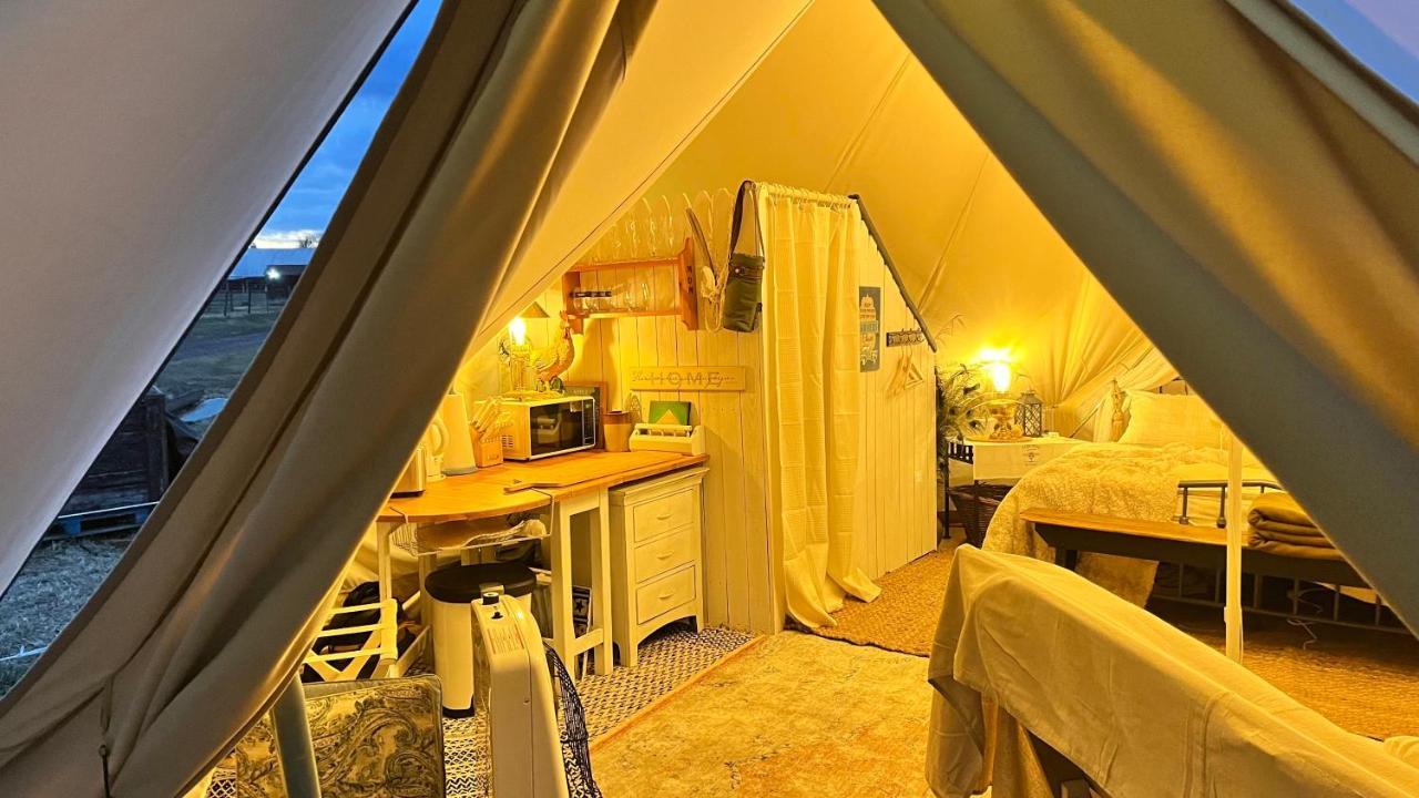 Shenandoah Valley Glamping - Amazing Views - Farm Edinburg 外观 照片