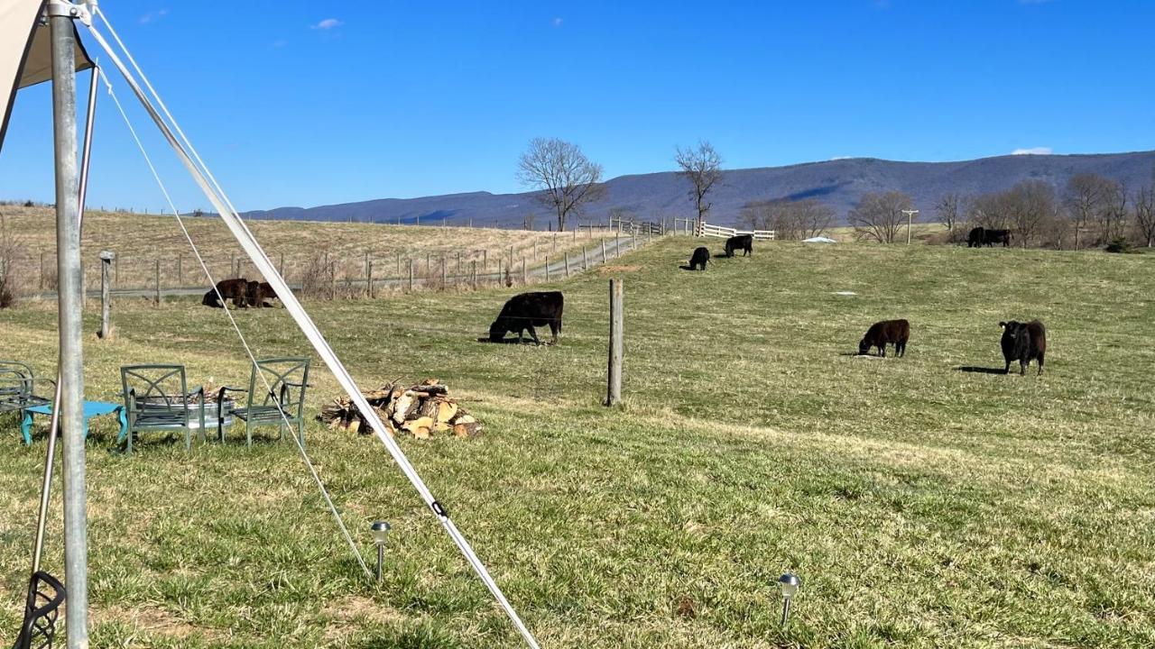 Shenandoah Valley Glamping - Amazing Views - Farm Edinburg 外观 照片