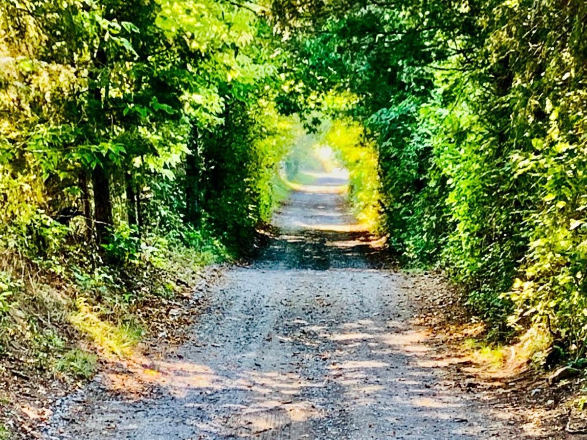 Shenandoah Valley Glamping - Amazing Views - Farm Edinburg 外观 照片